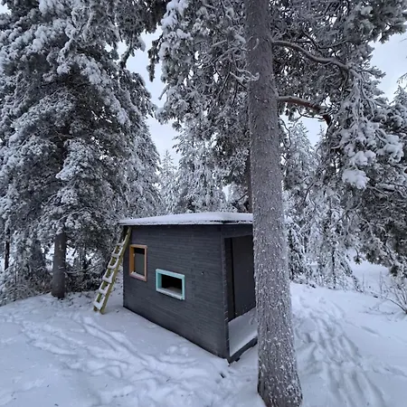 Artists House