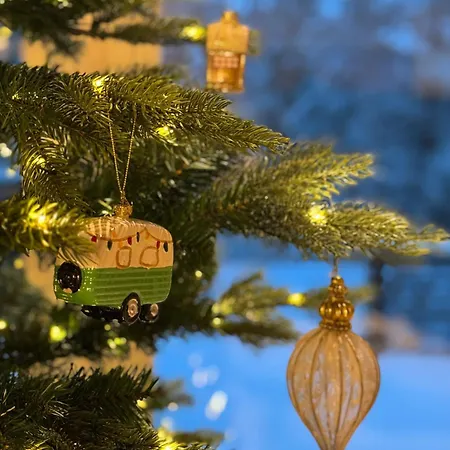 וילה Artists House רובניימי