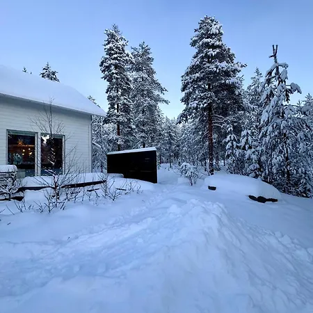 Villa Artists House