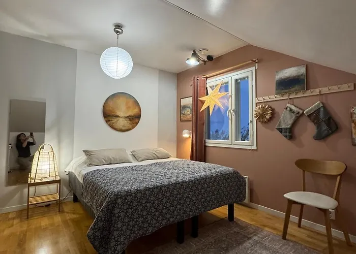 Artists House רובניימי